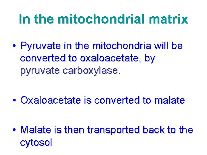 In the mitochondrial matrix • Pyruvate in the mitochondria will be converted to oxaloacetate,