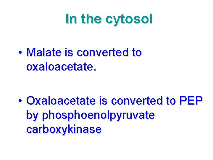 In the cytosol • Malate is converted to oxaloacetate. • Oxaloacetate is converted to