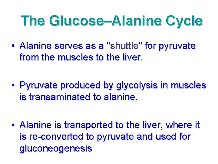 The Glucose–Alanine Cycle • Alanine serves as a "shuttle" for pyruvate from the muscles