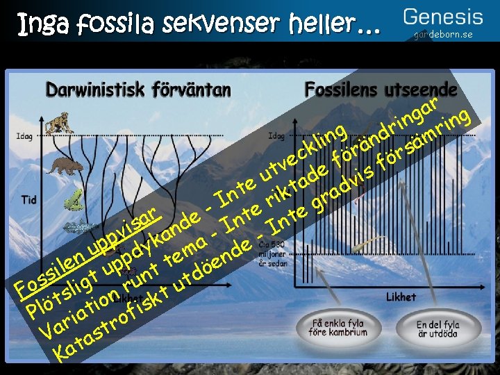 Inga fossila sekvenser heller… gardeborn. se r a g ing n i r mr