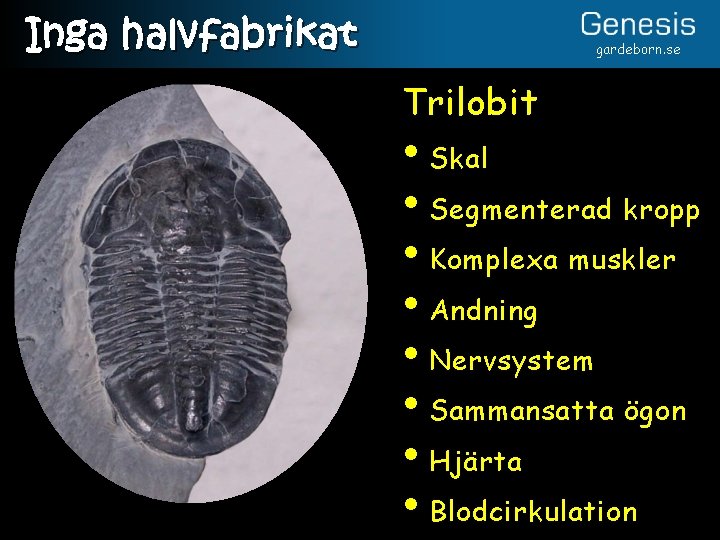 Inga halvfabrikat gardeborn. se Trilobit • Skal • Segmenterad kropp • Komplexa muskler •