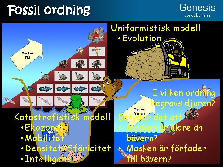 Fossil ordning gardeborn. se Uniformistisk modell • Evolution I vilken ordning begravs djuren? Katastrofistisk