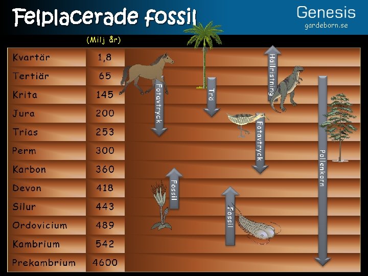 Felplacerade fossil gardeborn. se 