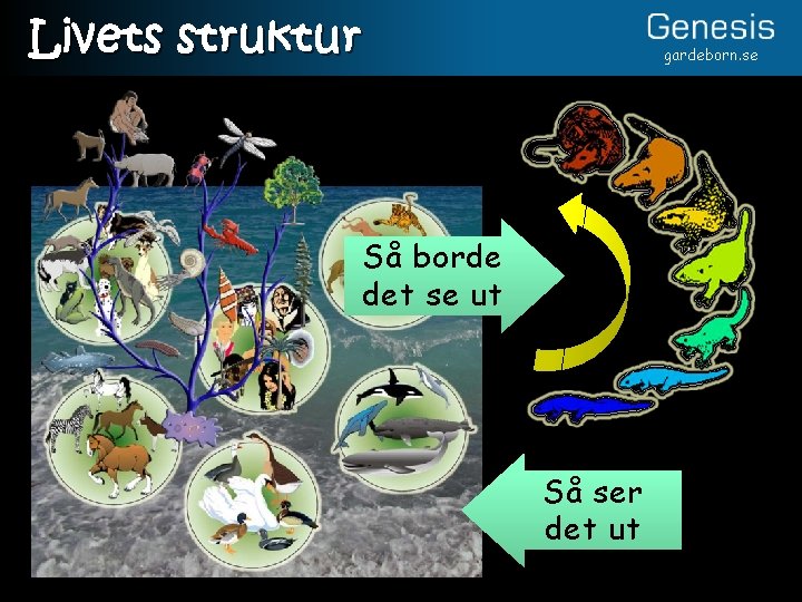 Livets struktur gardeborn. se Så borde det se ut Så ser det ut 