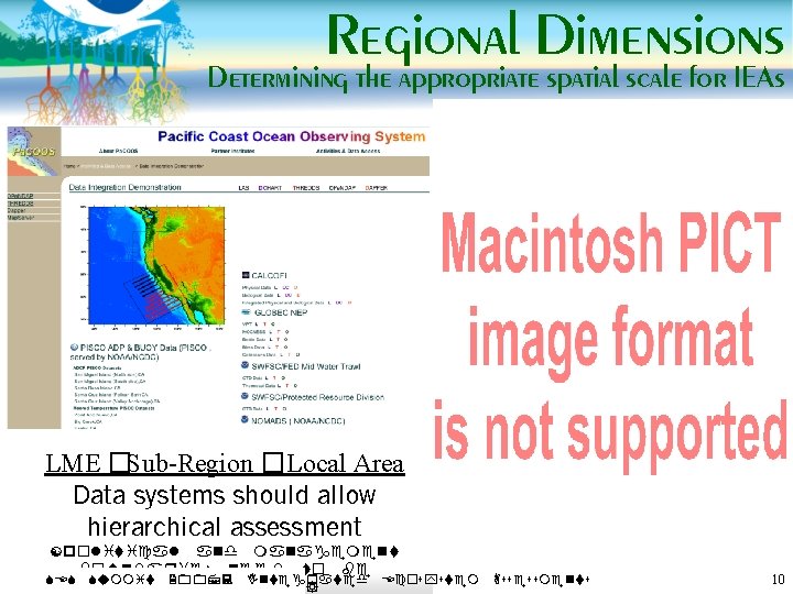 Regional Dimensions Determining the appropriate spatial scale for IEAs LME �Sub-Region �Local Area Data