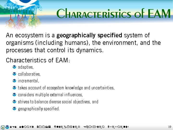 Characteristics of EAM An ecosystem is a geographically specified system of organisms (including humans),