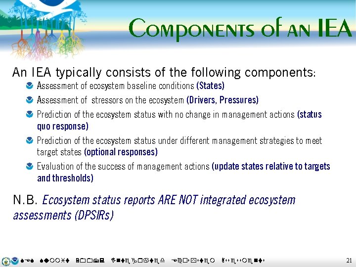 Components of an IEA An IEA typically consists of the following components: Assessment of