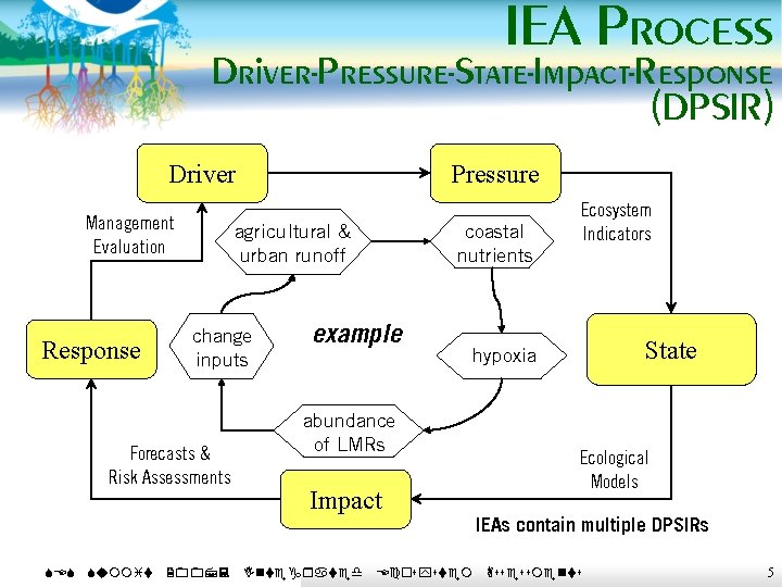 IEA Process Driver-Pressure-State-Impact-Response (DPSIR) Driver Management Evaluation Response agricultural & urban runoff change inputs