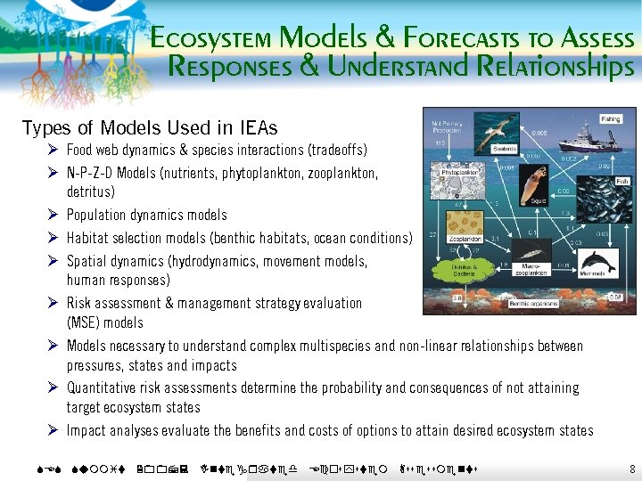 Ecosystem Models & Forecasts to Assess Responses & Understand Relationships Types of Models Used