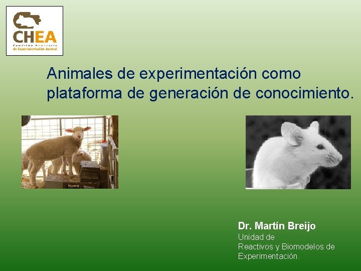 Animales de experimentación como plataforma de generación de conocimiento. Dr. Martín Breijo Unidad de