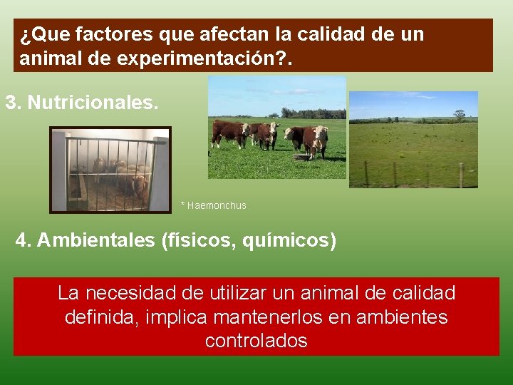 ¿Que factores que afectan la calidad de un animal de experimentación? . 3. Nutricionales.