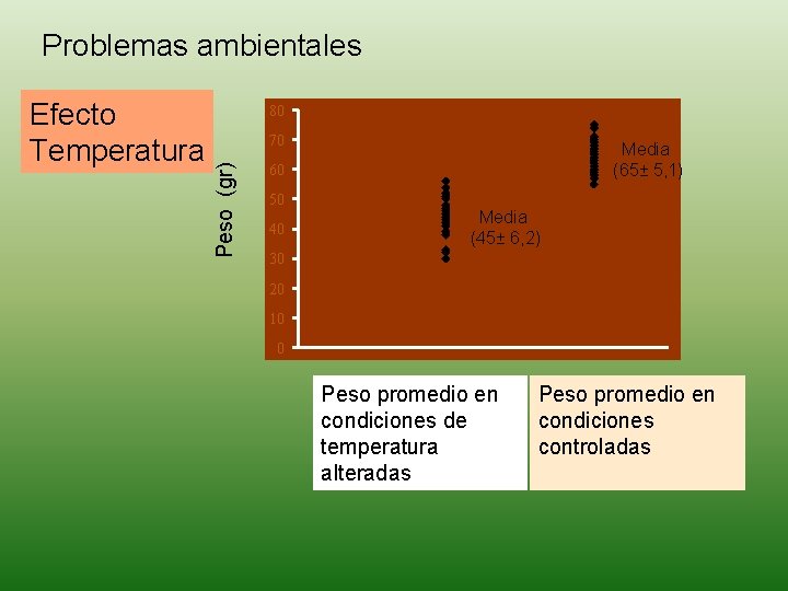 Problemas ambientales 80 70 Peso (gr) Efecto Temperatura Media (65± 5, 1) 60 50