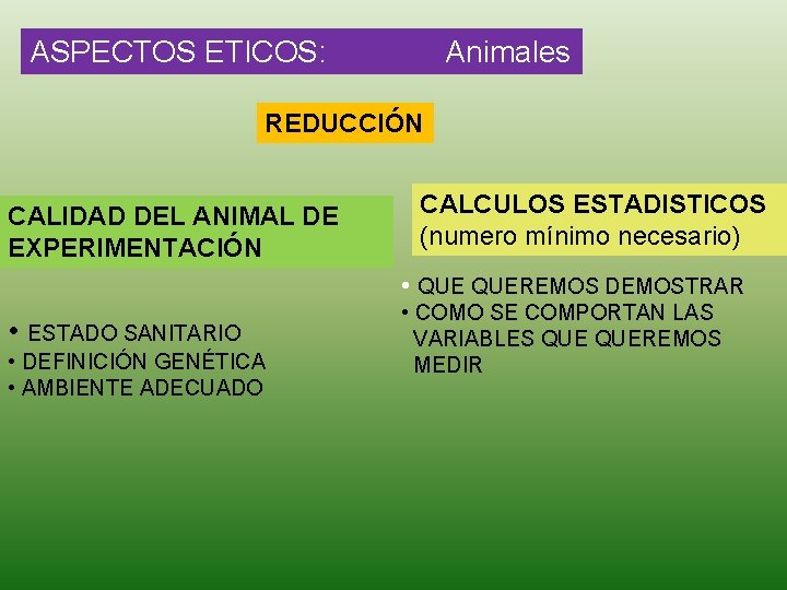 ASPECTOS ETICOS: Animales REDUCCIÓN CALIDAD DEL ANIMAL DE EXPERIMENTACIÓN CALCULOS ESTADISTICOS (numero mínimo necesario)