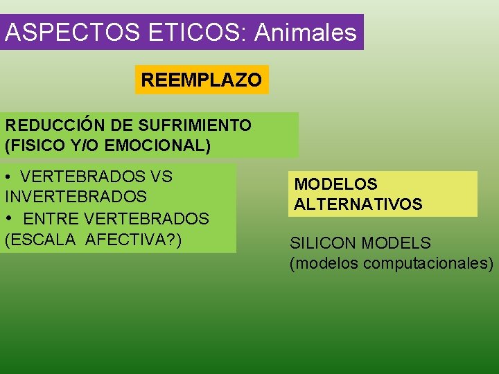 ASPECTOS ETICOS: Animales REEMPLAZO REDUCCIÓN DE SUFRIMIENTO (FISICO Y/O EMOCIONAL) • VERTEBRADOS VS INVERTEBRADOS