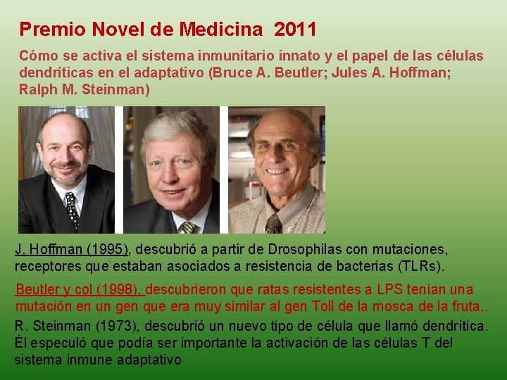 Premio Novel de Medicina 2011 Cómo se activa el sistema inmunitario innato y el