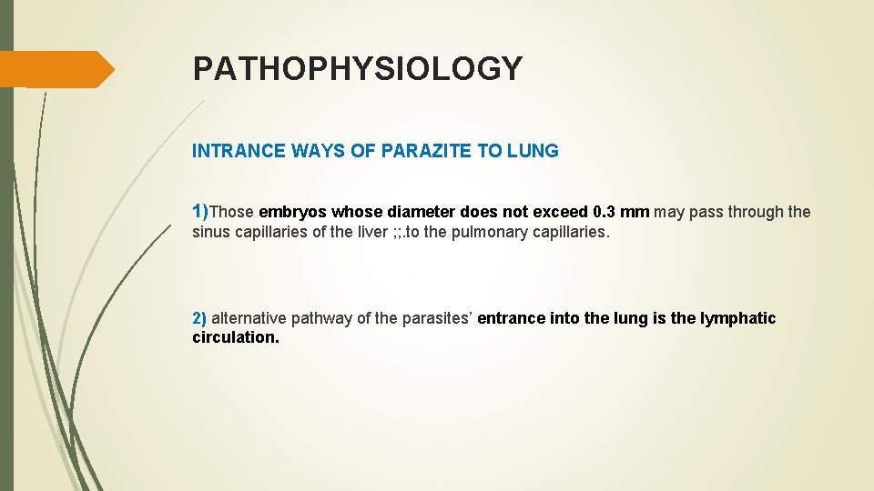 PATHOPHYSIOLOGY INTRANCE WAYS OF PARAZITE TO LUNG 1)Those embryos whose diameter does not exceed