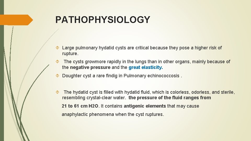 PATHOPHYSIOLOGY Large pulmonary hydatid cysts are critical because they pose a higher risk of