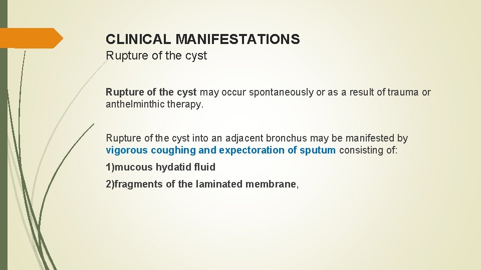 CLINICAL MANIFESTATIONS Rupture of the cyst may occur spontaneously or as a result of