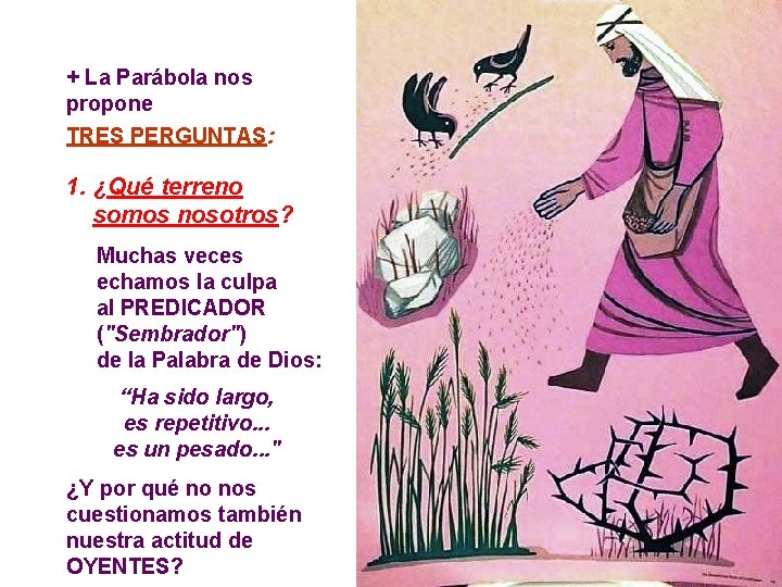 + La Parábola nos propone TRES PERGUNTAS: 1. ¿Qué terreno somos nosotros? Muchas veces