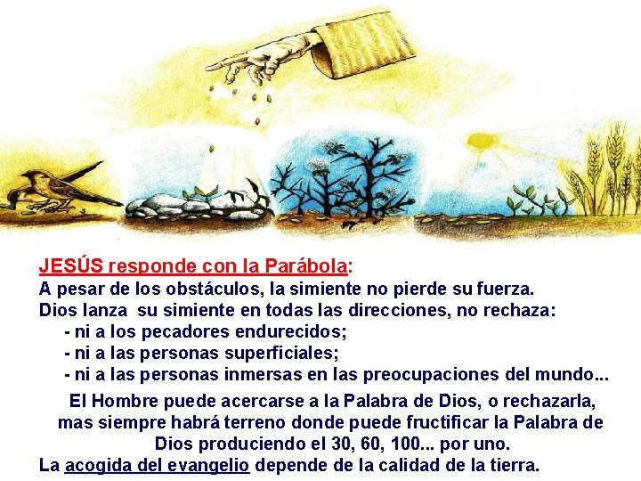 JESÚS responde con la Parábola: A pesar de los obstáculos, la simiente no pierde