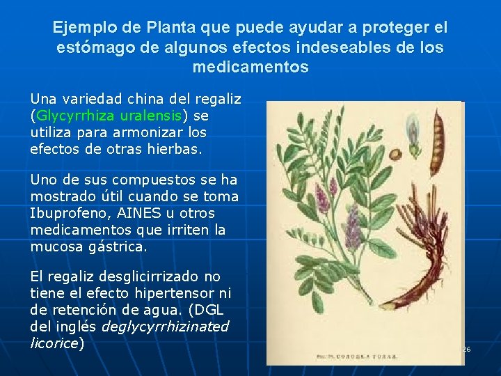 Ejemplo de Planta que puede ayudar a proteger el estómago de algunos efectos indeseables