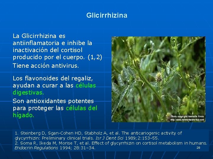 Glicirrhizina La Glicirrhizina es antiinflamatoria e inhibe la inactivación del cortisol producido por el