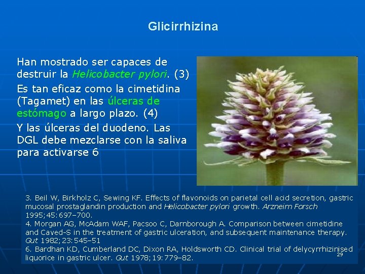 Glicirrhizina Han mostrado ser capaces de destruir la Helicobacter pylori. (3) Es tan eficaz