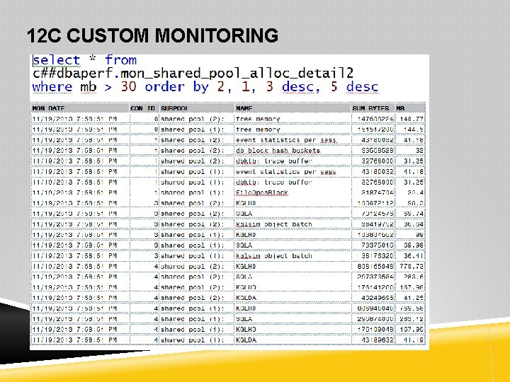 12 C CUSTOM MONITORING 