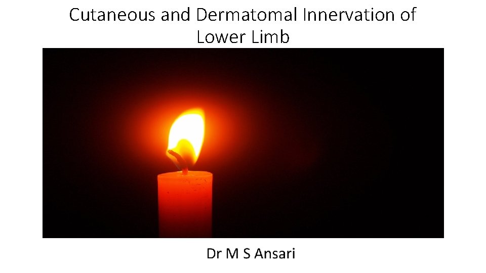 Cutaneous and Dermatomal Innervation of Lower Limb 