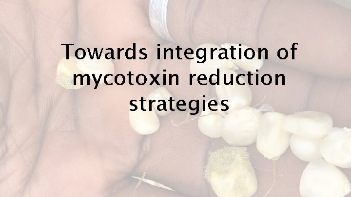 Towards integration of mycotoxin reduction strategies 