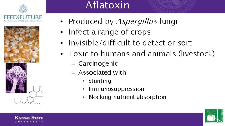 Aflatoxin • • Produced by Aspergillus fungi Infect a range of crops Invisible/difficult to