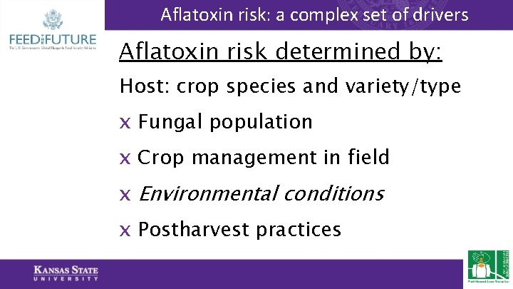 Aflatoxin risk: a complex set of drivers Aflatoxin risk determined by: Host: crop species