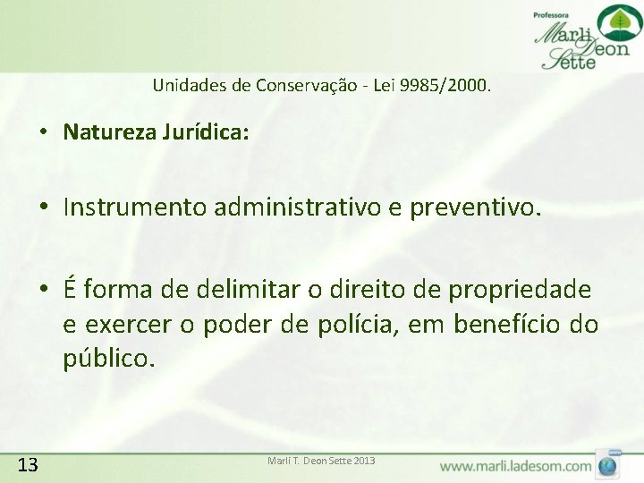 Unidades de Conservação - Lei 9985/2000. • Natureza Jurídica: • Instrumento administrativo e preventivo.