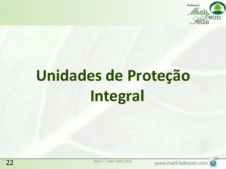 Unidades de Proteção Integral 22 Marli T. Deon Sette 2013 