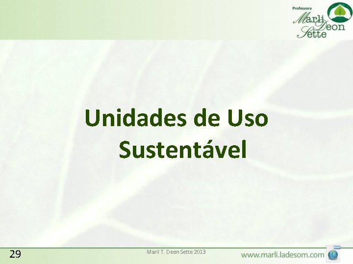 Unidades de Uso Sustentável 29 Marli T. Deon Sette 2013 