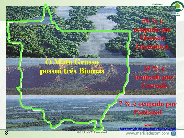 54 % é ocupado por Floresta Amazônica. O Mato Grosso possui três Biomas 39