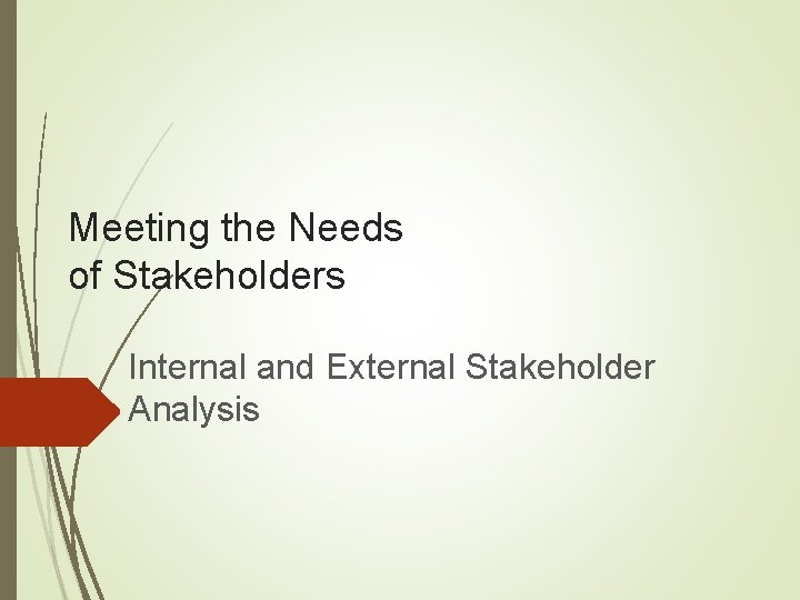 Meeting the Needs of Stakeholders Internal and External Stakeholder Analysis 