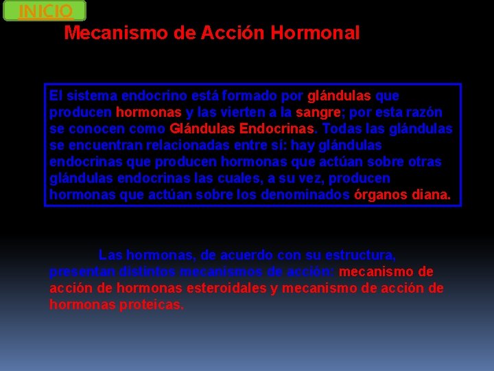 INICIO Mecanismo de Acción Hormonal El sistema endocrino está formado por glándulas que producen