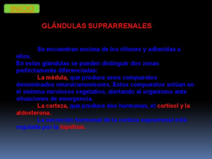 INICIO GLÁNDULAS SUPRARRENALES Se encuentran encima de los riñones y adheridas a ellos. En