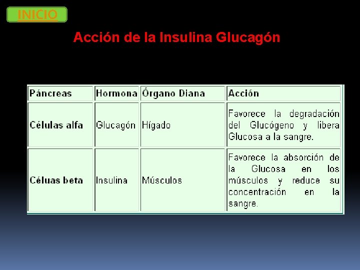 INICIO Acción de la Insulina Glucagón 