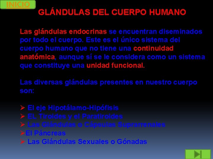 INICIO GLÁNDULAS DEL CUERPO HUMANO Las glándulas endocrinas se encuentran diseminados por todo el