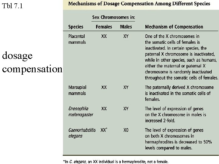 Tbl 7. 1 dosage compensation 