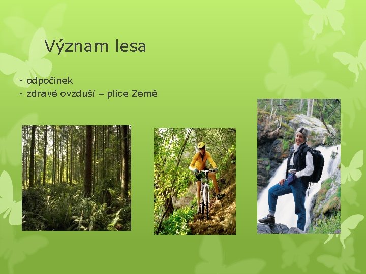 Význam lesa - odpočinek - zdravé ovzduší – plíce Země 