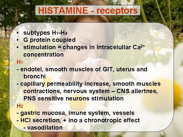HISTAMINE - receptors • subtypes H 1 -H 4 • G protein coupled •