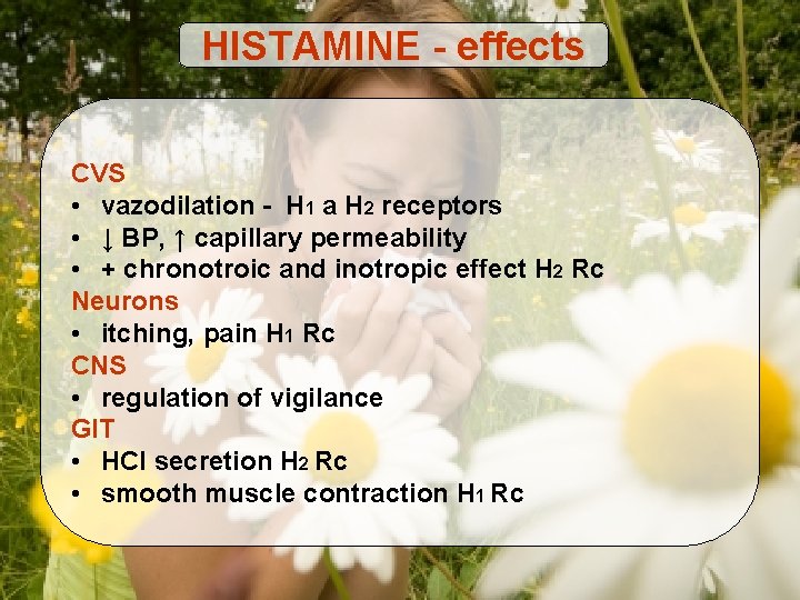 HISTAMINE - effects CVS • vazodilation - H 1 a H 2 receptors •