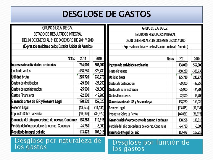 DESGLOSE DE GASTOS Desglose por naturaleza de los gastos Desglose por función de los