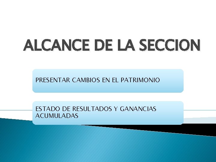 ALCANCE DE LA SECCION PRESENTAR CAMBIOS EN EL PATRIMONIO ESTADO DE RESULTADOS Y GANANCIAS