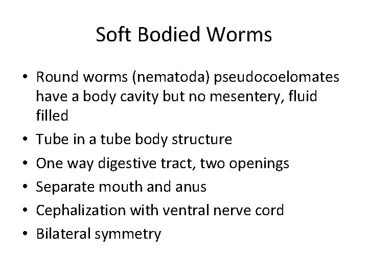 Soft Bodied Worms • Round worms (nematoda) pseudocoelomates have a body cavity but no