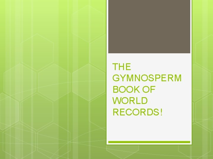 THE GYMNOSPERM BOOK OF WORLD RECORDS! 