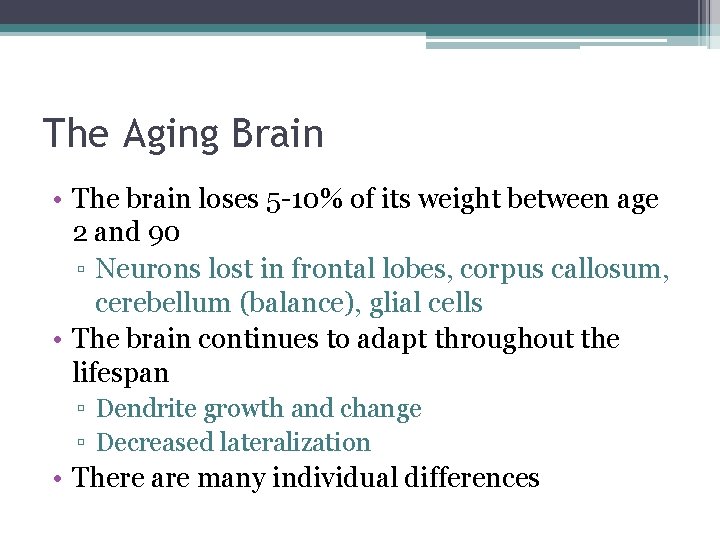 The Aging Brain • The brain loses 5 -10% of its weight between age